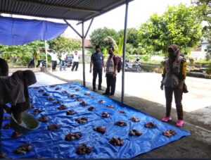 Informasi Penyelenggaraan Pemerintahan Kalurahan Tahun Anggaran 2020