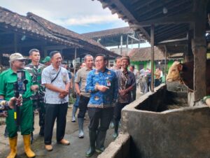 Dirjen Peternakan dan Kesehatan Hewan Kementan RI Tinjau Langsung Vaksinasi PMK di Kandang Kelompok Lestari Mulyo
